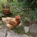 A L'antan - La Ferme D'octave Bed & Breakfast Saint-Hilaire-de-Villefranche
